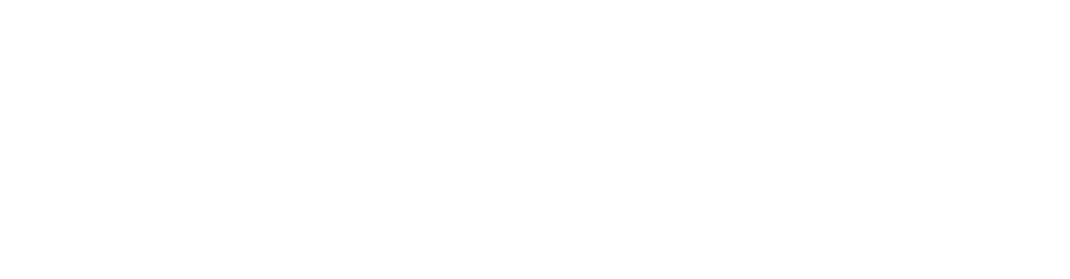 ISP-removebg-blanc