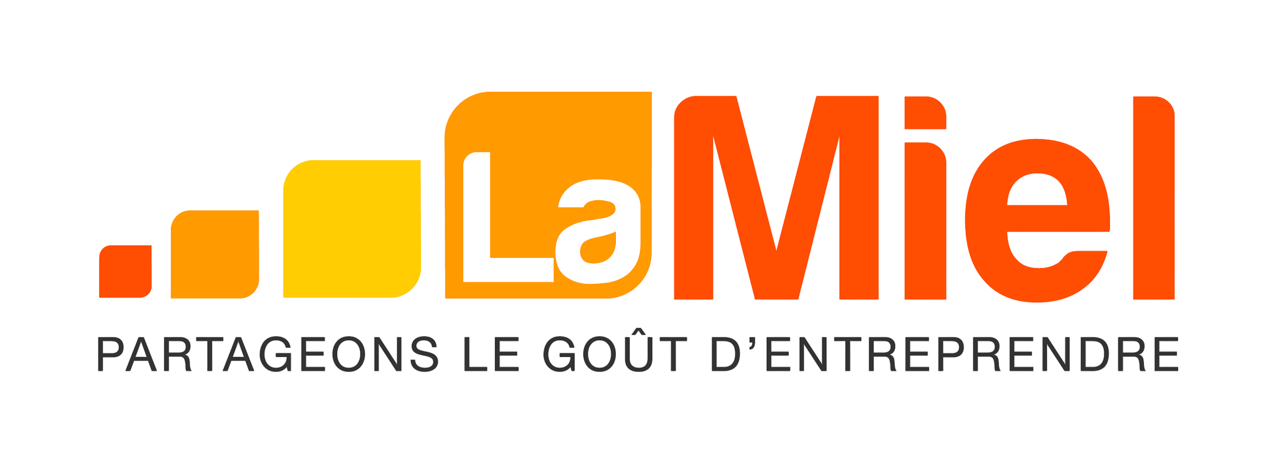 lamiel-logo-cmjn_01